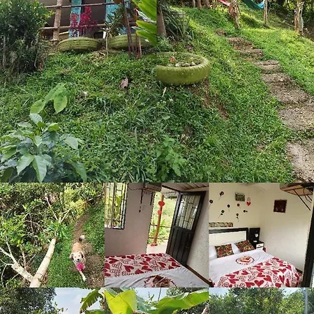 Cabana En El Campo La Vega  Exterior photo