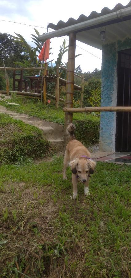 En El Campo Country house *