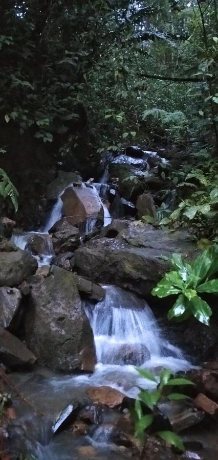 En El Campo * La Vega (Cundinamarca)