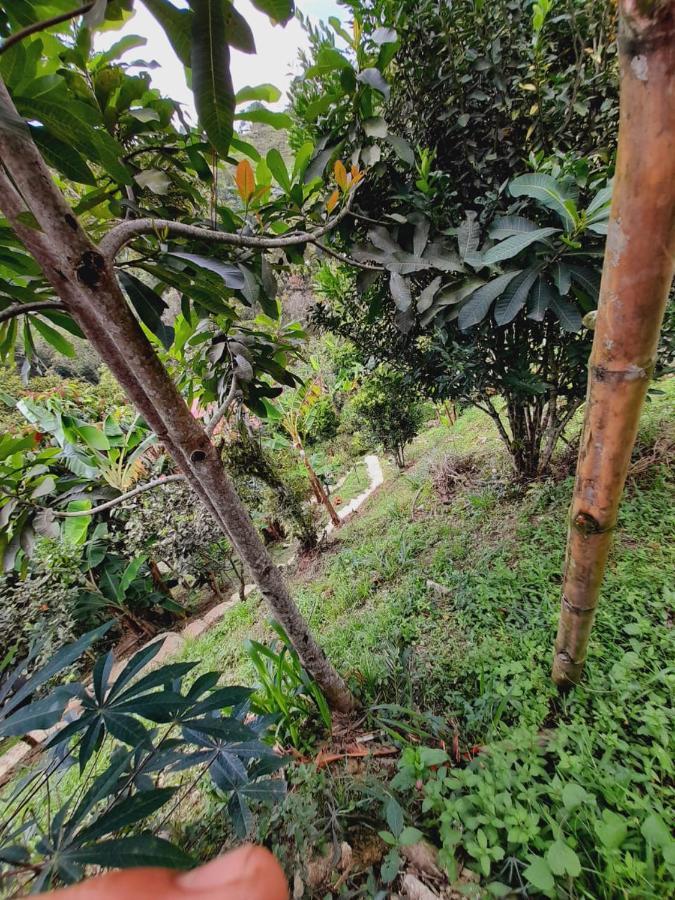 En El Campo
