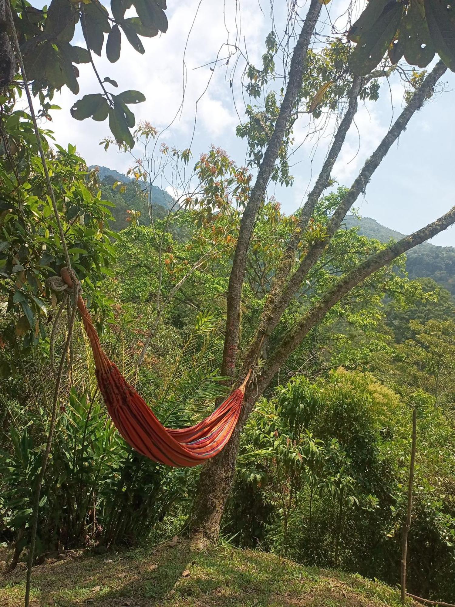 En El Campo La Vega (Cundinamarca)