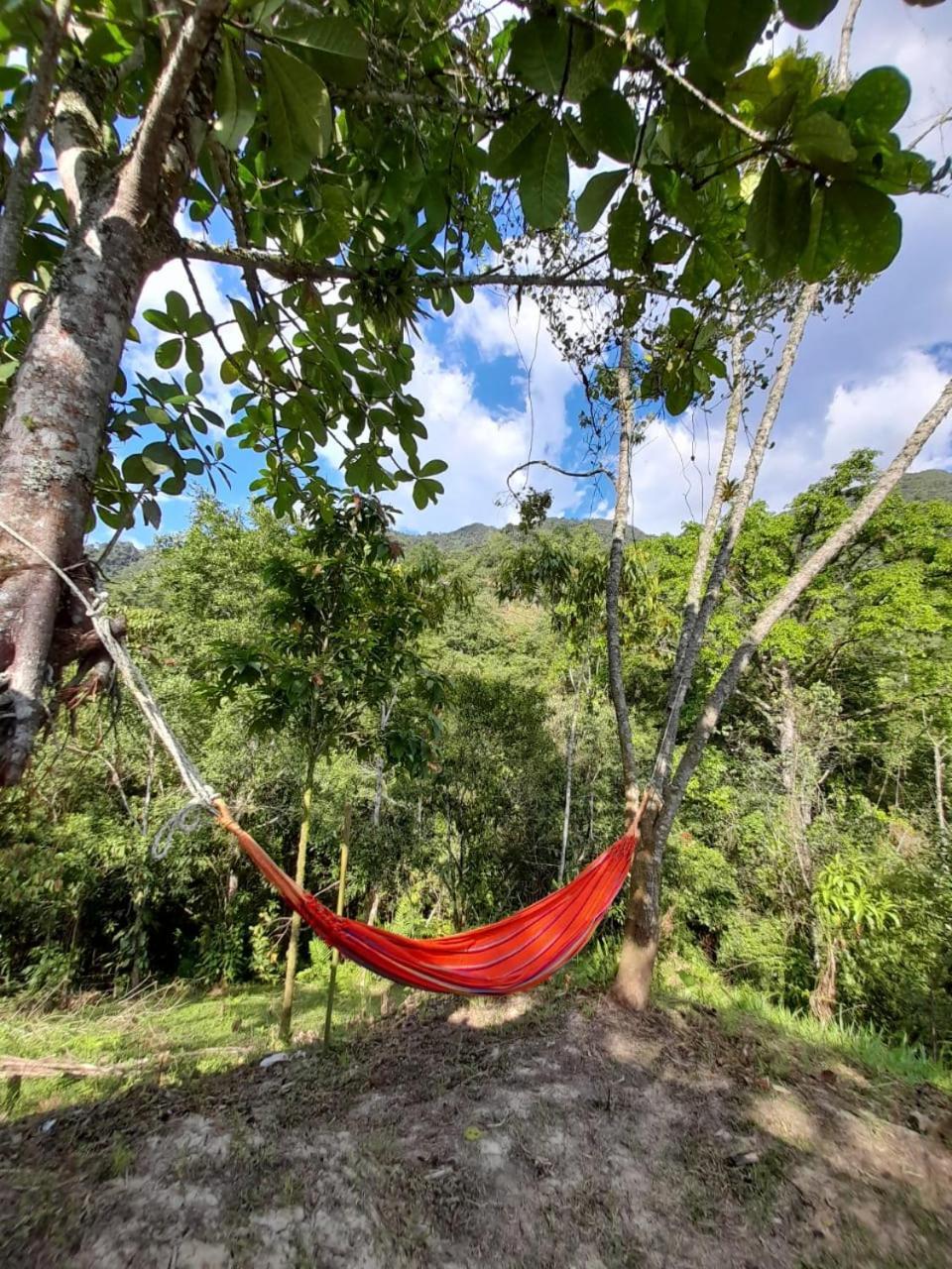 Casa rural En El Campo *